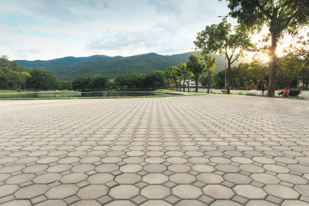 Best Paver Driveway Replacement  in Floydada, TX